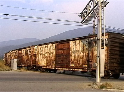 Nelson boxcars
