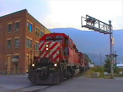 Nelson SD40-2 on level crossing