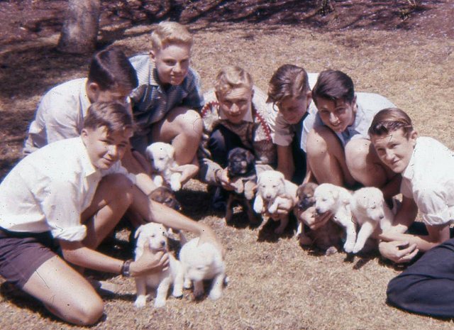 Pupils with matron's puppies