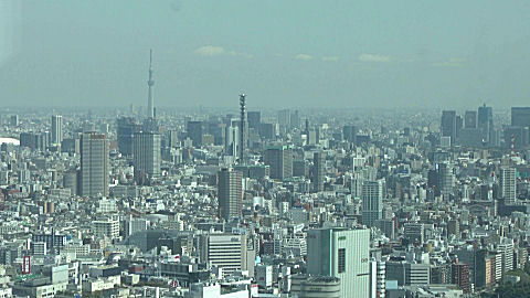 View from Tokyo Metropolitan Government Offices