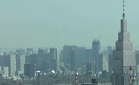 View from Tokyo Metropolitan Government Offices
