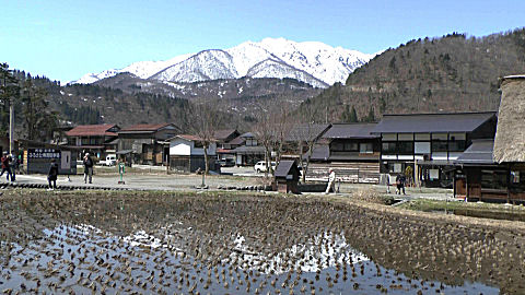 Ogimachi, Shirakawa-go