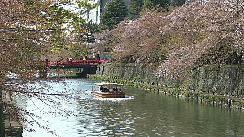 Pleasure Boat, Kama River, Kyoto
