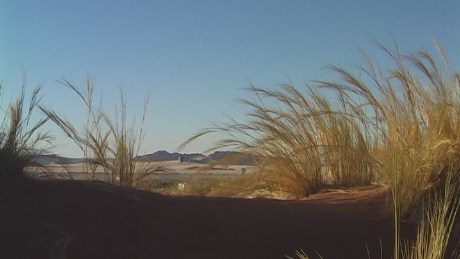 Dune Walk, Namib-Naukluft National Park, Namibia