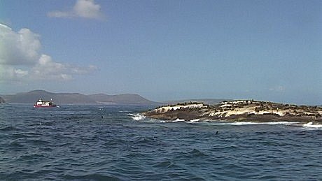 South African Fur Seals on Duiker Island