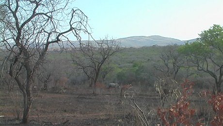  Mkuzi Game Reserve, Isiqiwu