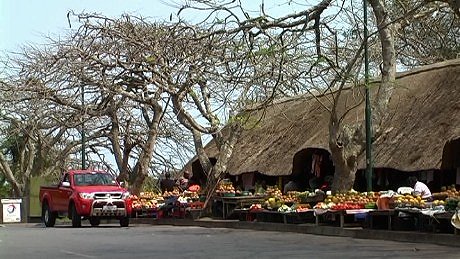 Fruit and Vegetable Market, St Lucia South Africa