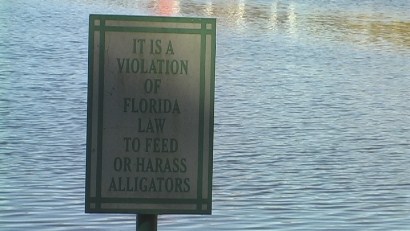 'Do  Not Feed the Alligators' - Lake Celebration, Florida