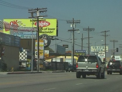 Palms and Power Poles in Los Angeles