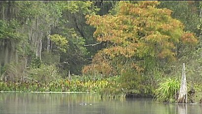 Wakulla Springs