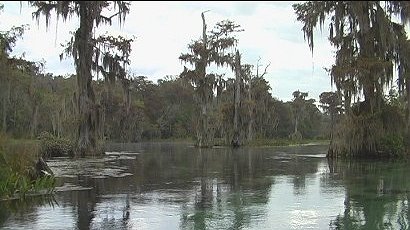 Wakulla Springs