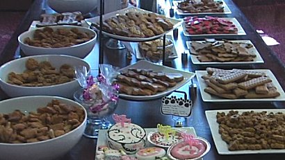 Dog bicuits and Dog cakes - Celebration, Florida