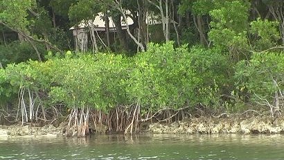 Hilton Key Largo Beach Resort